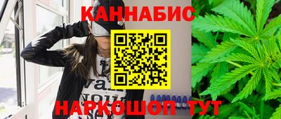 индика Лесосибирск