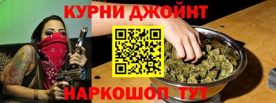 индика Лесосибирск