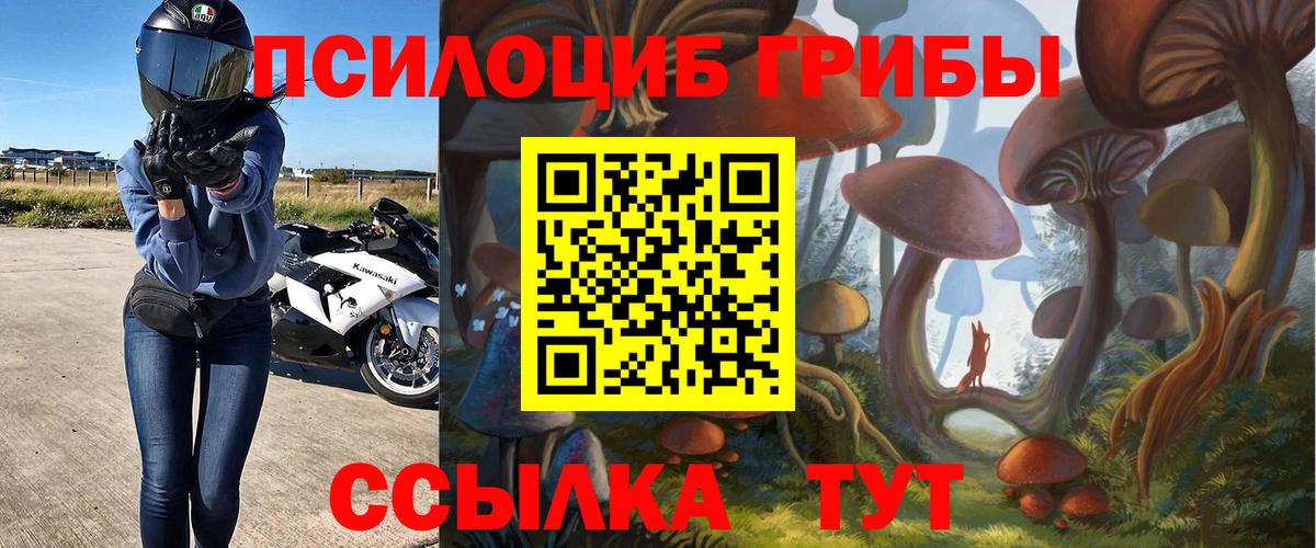 Псилоцибиновые грибы Psilocybe  Вход с VPN  Псилоцибиновые грибы Magic Shrooms  Пугачёв 